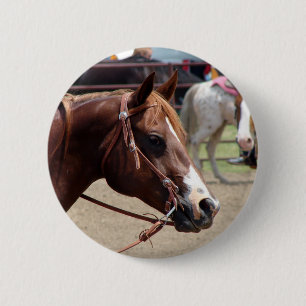 Bij het Show van de paarden Ronde Button 5,7 Cm