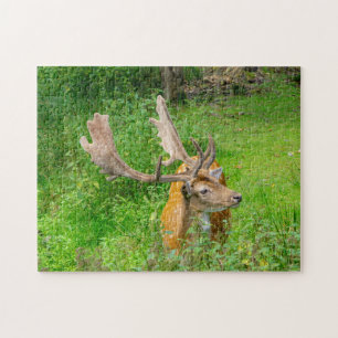 Bij het verbergen - kleine herten - fotografie van legpuzzel