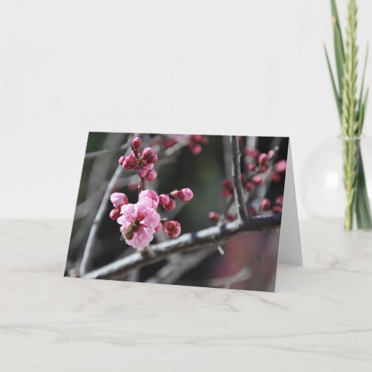 Bij in Bloem - Wenskaart Kaart (Voorkant)