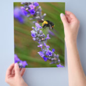 Bij in Lavendel Flyer (Hand)