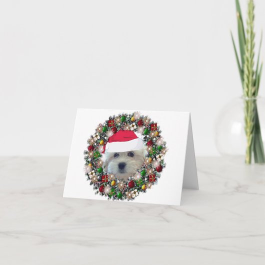 Bij Kerstmis - Havanese Feestdagen Kaart (Voorkant)