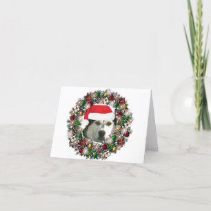 Bij Kerstmis - Malamute Van Alaska Feestdagen Kaart