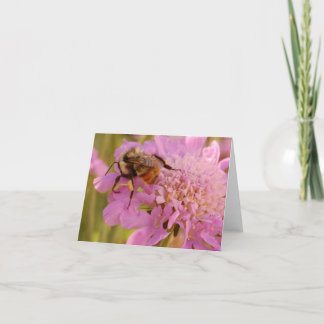 Bij op Bloem Kaart