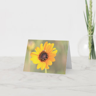 Bij op Coreopsis Visitekaartje Bedankkaart