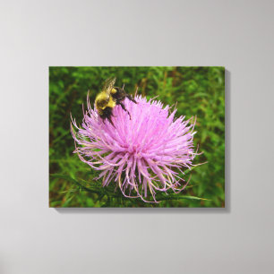 Bij op Distelbloem Natuur Canvas Afdruk