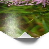 Bij op distelbloem natuur foto afdruk (Hoek)