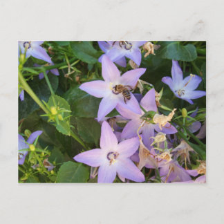 Bij op een Bloem Briefkaart