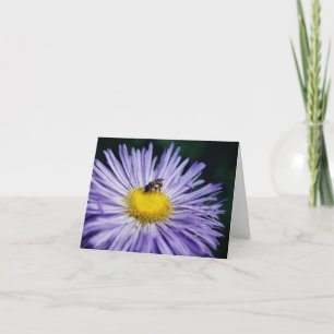 Bij op paarse margrietbloem fotografie notitiekaartje