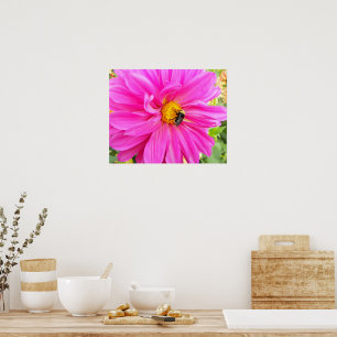 Bij op Roze Dahlia Bloem Fotografisch Poster
