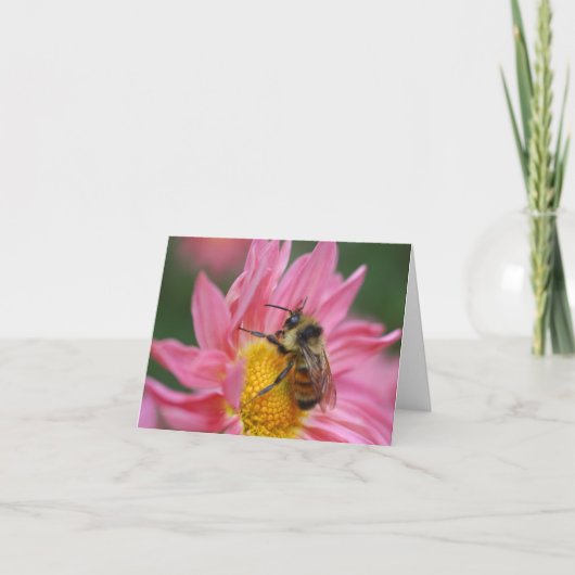 Bij op roze margriet bloem fotografie notitie kaart (Voorkant)