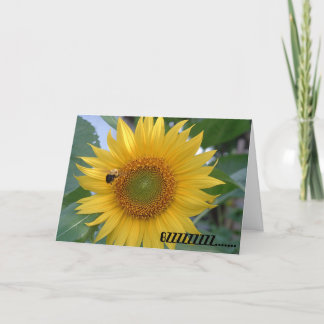 Bij tijdens de vlucht kaart