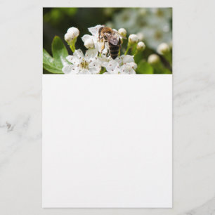 Bij verzamelt pollen flyer