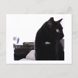 Bijbels en print van Zwarte Kat ansichtkaart door Briefkaart