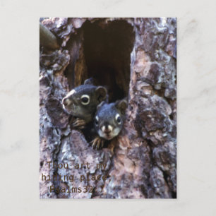 Bijbelschrift Briefkaart