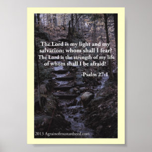 Bijbelscripts Poster