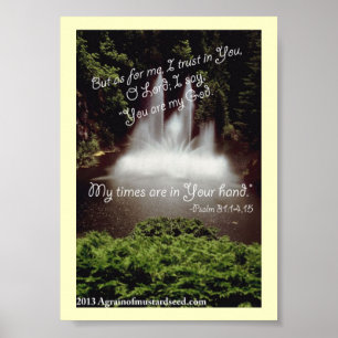 Bijbelscripts Poster