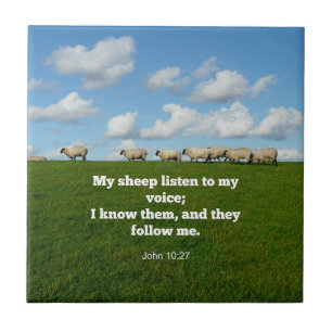 Bijbelvers, John 10:27, Tegeltje