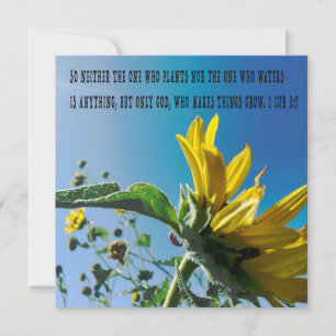 Bijbelvers poster, de bloemen groeien met God.