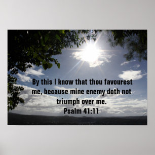 Bijbelvers Psalm 41:11 Poster