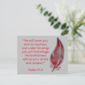 Bijbelverse Briefkaart Psalm 91:4 Veer (Staand voorkant)