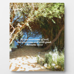 Bijbelverses Love Quote Gezegde Romans 12:21 Fotoplaat