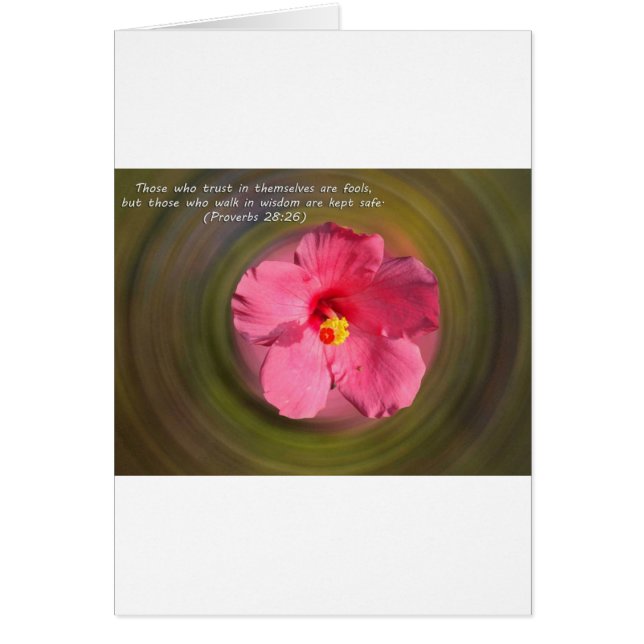 Bijbelversie 28:26 (Voorkant)