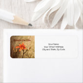 Bijbelversie: Overweeg de gelilies Etiket (Insitu)