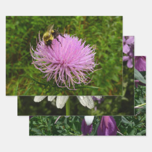 Bijdehand op Distel Inpakpapier Vel