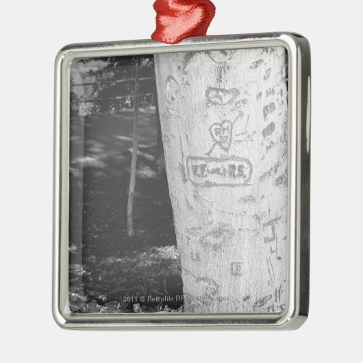 Bijdragen aan boomstam B&W Metalen Ornament (Links)