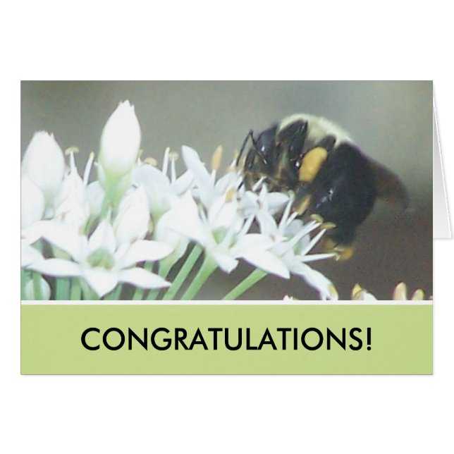 Bijen (Voorkant Horizontaal)