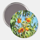 Bijen aan het werk magneet (Voorkant / Achterkant)