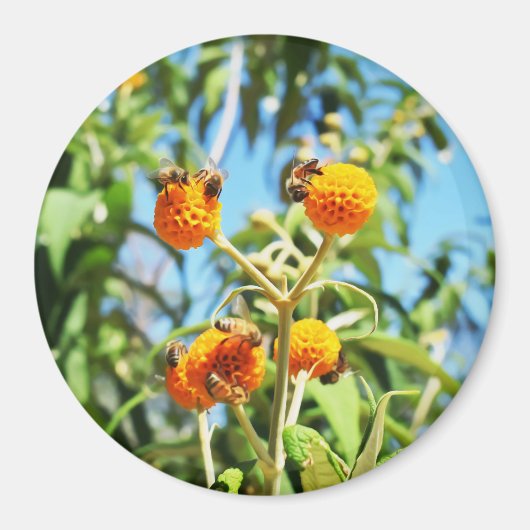 Bijen aan het werk magneet (Voorkant)