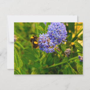 Bijen Briefkaart