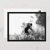 Bijen Briefkaart (Voorkant / Achterkant)