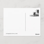 Bijen Briefkaart (Achterkant)