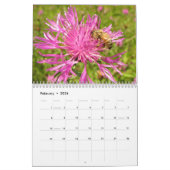 BIJEN DIY KALENDERS KALENDER (Feb 2026)