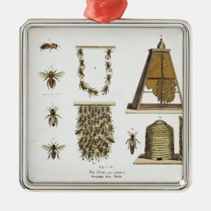 Bijen en bijenteelt, van "The Young Landsman", p Metalen Ornament