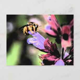 Bijen en Bloem pccnm Briefkaart