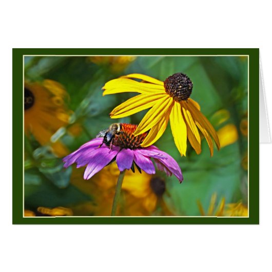 Bijen en bloesems (Voorkant Horizontaal)