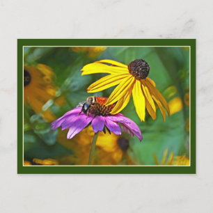 Bijen en bloesems briefkaart