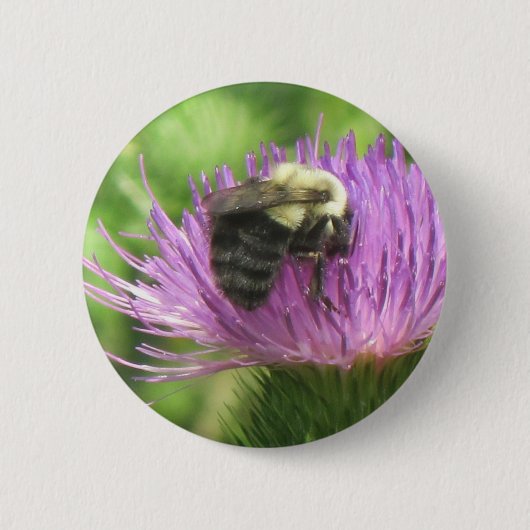 Bijen en Thistle Button (Voorkant)
