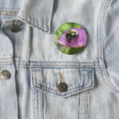 Bijen en Thistle Button (In situ)