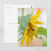 Bijen en zonnebloemen briefkaart (Voorkant / Achterkant)