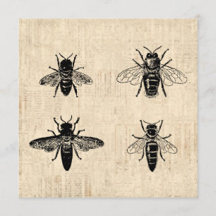 Bijen Illustratie Antiek bijenkunst  design Kaart