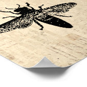 Bijen Illustratie Antiek bijenkunst design Poster (Hoek)