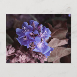 bijen in blauwe bloemen gekleurd paars briefkaart