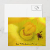 Bijen in de Zucchini-bloem Briefkaart (Voorkant / Achterkant)