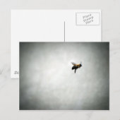 bijen in vlucht briefkaart (Voorkant / Achterkant)