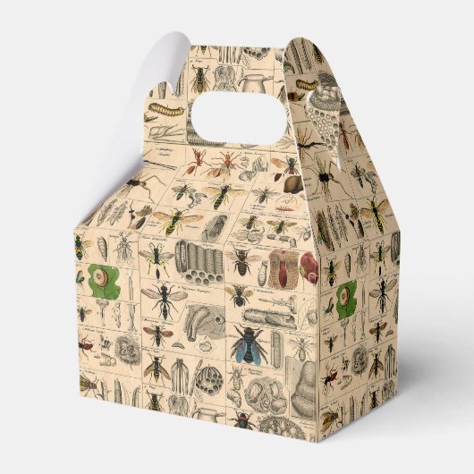 Bijen Insect Bug Wasp Natuurlijke Geschiedenis Bedankdoosjes (Voorkant Zijde)