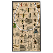 Bijen Insect Bug Wasp Natuurlijke Geschiedenis Klein Cadeauzakje (Achterkant)